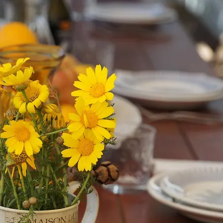 Casa Calypso Carloforte (Isola di San Pietro)